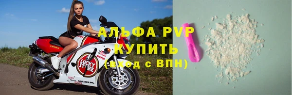 гашик Кодинск