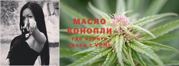 гашик Кодинск