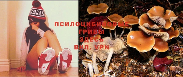 mdma Козловка