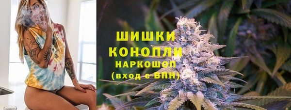 гашик Кодинск
