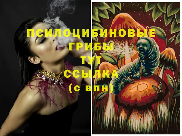 mdma Козловка