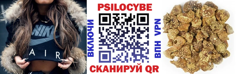 Купить  Ельня  Галлюциногенные грибы Magic Shrooms 