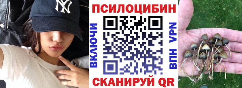 Галлюциногенные грибы Psilocybine cubensis Ельня